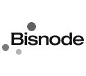 BISNODE Positiva