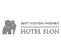 Hotel Slon Positiva